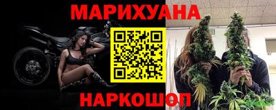 прущие крисы Можга
