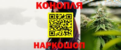 прущие крисы Можга